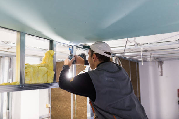 Best Commercial Insulation in Northlakes, NC
