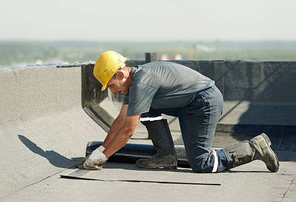 Best Cellulose Insulation in Northlakes, NC