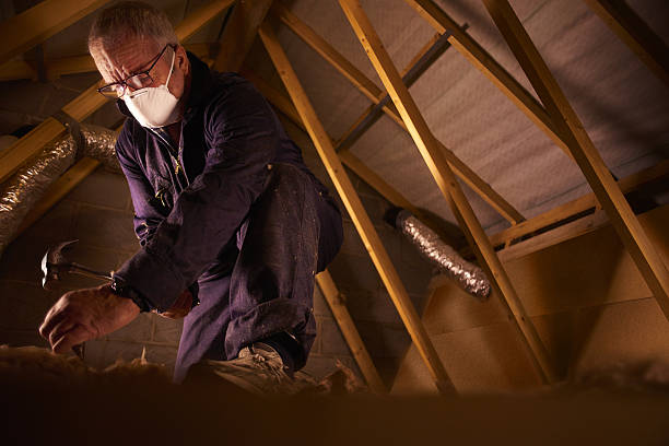 Types of Insulation We Offer in Northlakes, NC