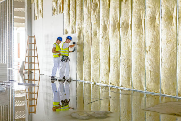 Best Spray Foam Insulation in Northlakes, NC